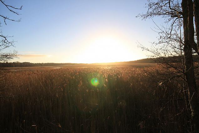 Lake Prstvike, December 2013 