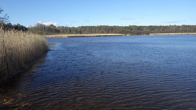 Lake Prstvike, October 2016 