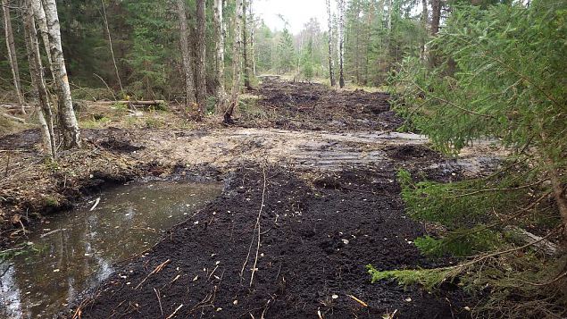 Closed ditch, Viidume, October 2016 