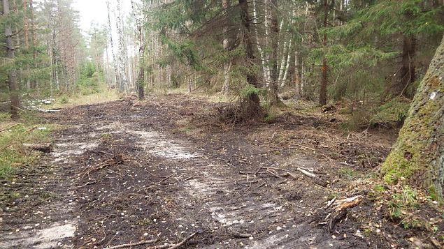 Closed ditch, Viidume, October 2016 