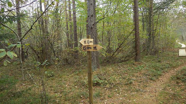 Restored nature trail, Viidume, October 2016 