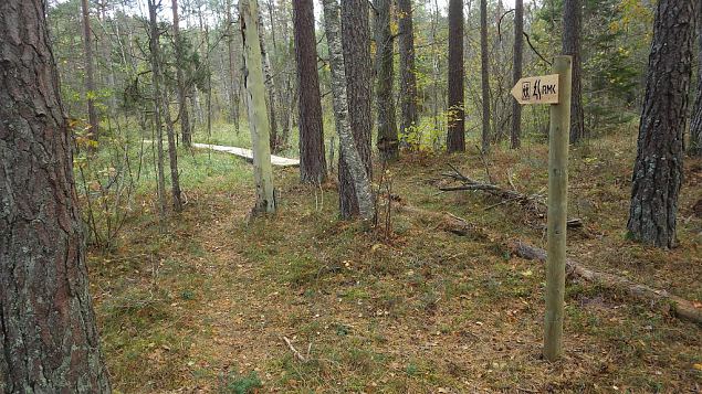 Restored nature trail, Viidume, October 2016 