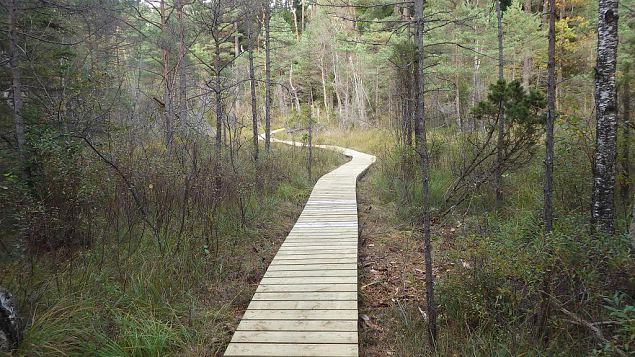 Restored nature trail, Viidume, October 2016 