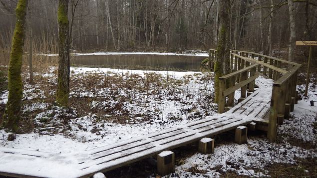 Vormsi, Suurallikas (Great spring) and Allika trail, February 2017 