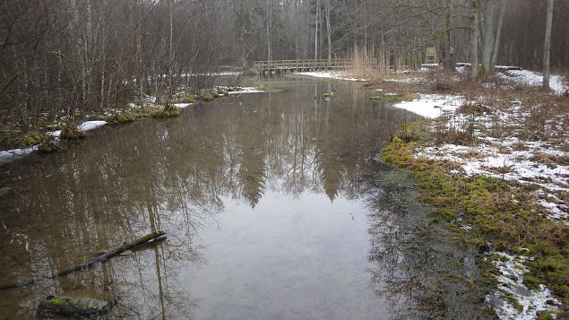 Vormsi, Suurallikas (Great spring), February 2017 