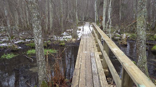 Vormsi, Allika nature trail, February, 2017 