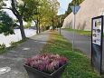 29.04.2023 P�rnu | Galerii Projekti infostend Narva promenaadil 